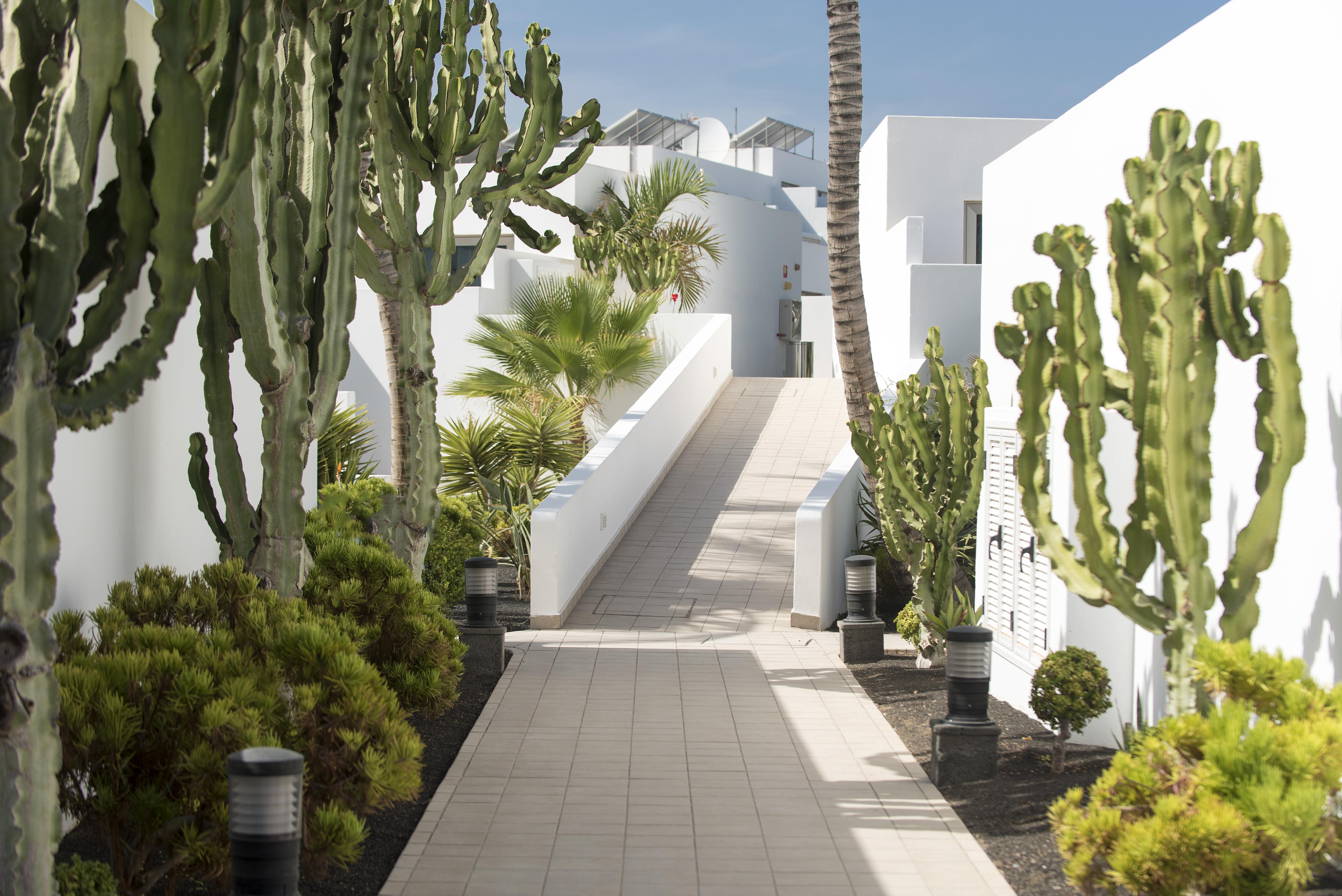 Hotel Las Costas Πουέρτο Ντελ Κάρμεν Εξωτερικό φωτογραφία